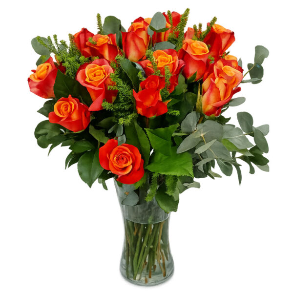 blushing roses coastal petals and buds