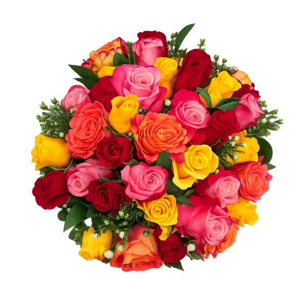 rose blush coastal petals and buds