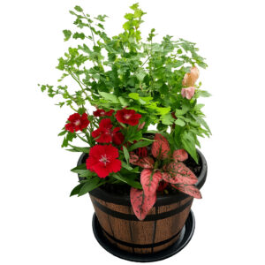 Planters