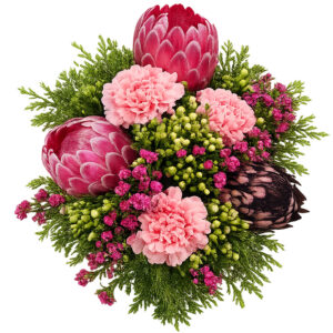 coastal petals and buds pretty protea